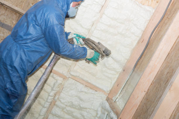 Best Attic Insulation Installation  in Grand Rapids, MI