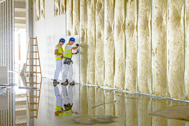 Best Attic Insulation Installation  in Grand Rapids, MI